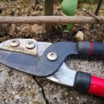 Jak zadbać o narzędzia ogrodowe?