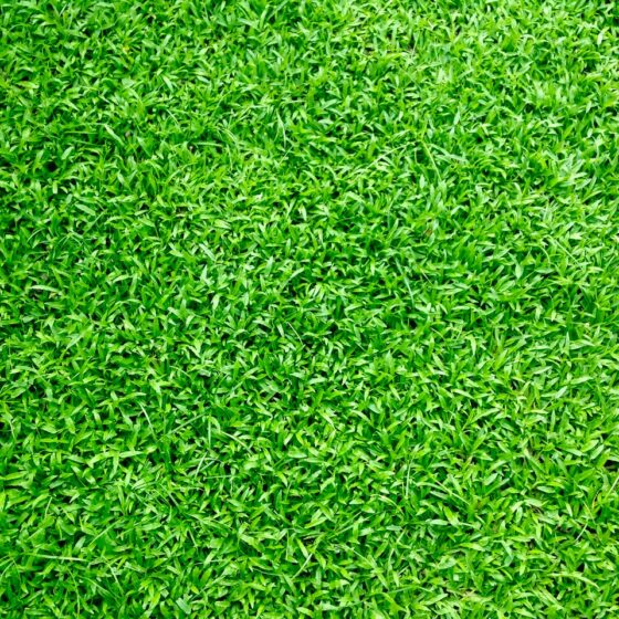 Zielona sztuczna trawa lezy na balkonie