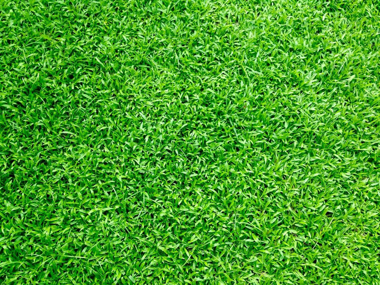 Zielona sztuczna trawa lezy na balkonie